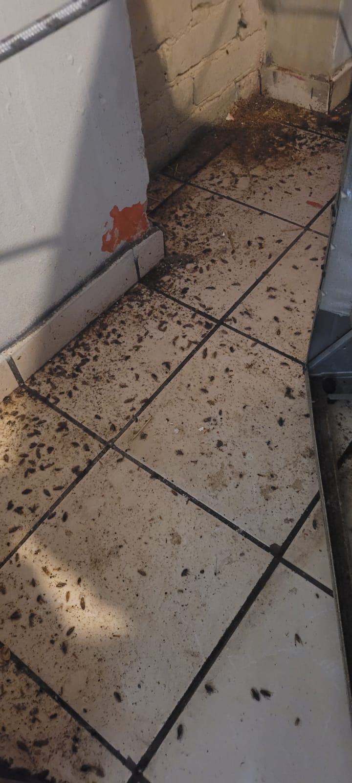 Trabajo 1