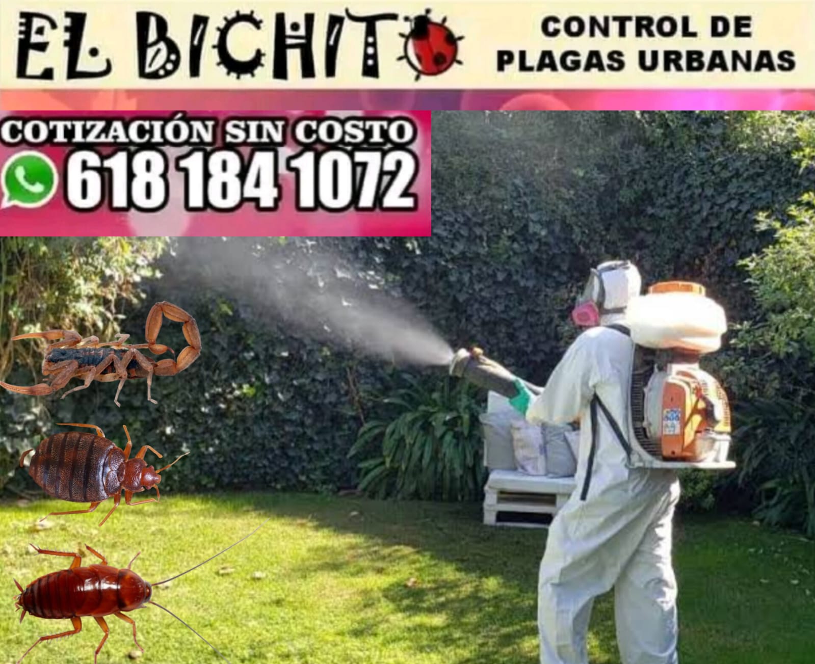Trabajo 5